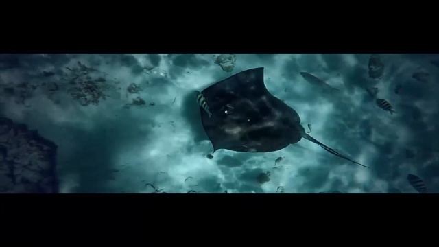 Vocal Deep House by Dj Balalayka 22112018 смотреть онлайн