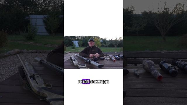 Сборы на рев лося