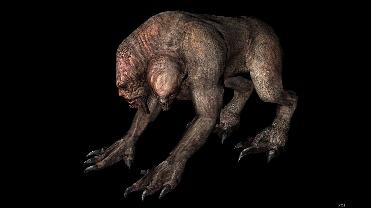 S.T.A.L.K.E.R. Anomaly: Chimera at night смотреть онлайн