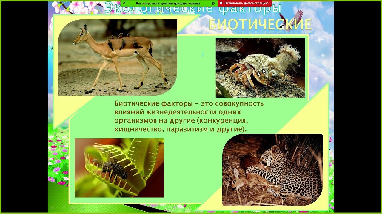 Биотические экологические факторы примеры. Биоритмические факторы. Биотические факторы фитогенные зоогенные. К биотическим факторам относится межвидовая конкуренция. Зоогенные факторы примеры.