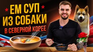 Как я съел собаку в Северной Корее | Обзор блюда