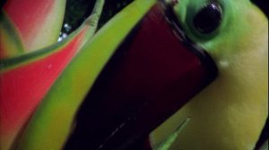 Как вырастить планету 1 сезон 2 серия (документальный сериал, 2012)