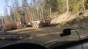 Куча лесовозов на погрузке.