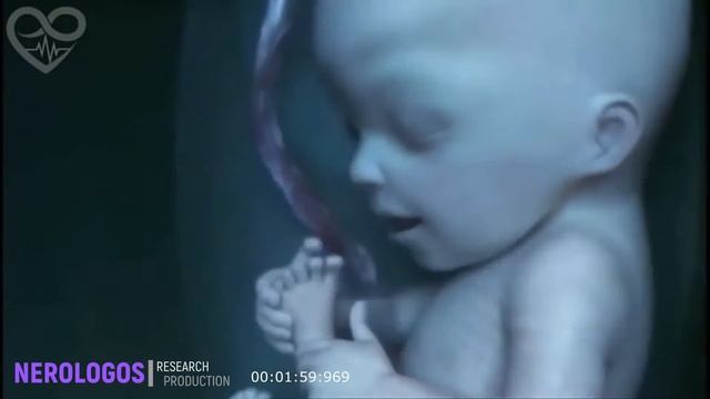 Life in moment смотреть онлайн