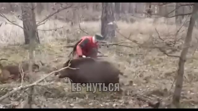 Веб-камерада жалаңаш әйелдердің жақыннан түсірілген бейнелерін көрсетіңіз