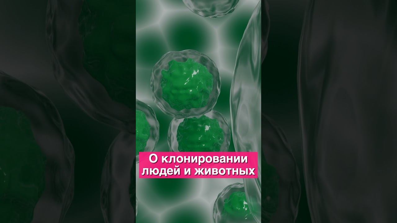 О клонировании человека и животных