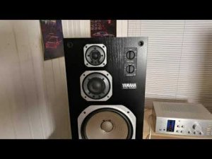 Yamaha ns 200m внешний вид и работоспособность.
