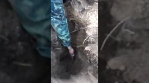 Раскопки блиндажа,ВОВ в лесу в районе с.Бирино. (18+ Присутствует ненормативная лексика).