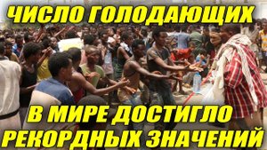 Число голодающих в мире достигло рекордных значений