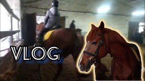 VLOG МОЙ ДЕНЬ НА КОНЮШНЕ #лошади #horses #myhorse #влог #vlog #слюдмилой #лошадь