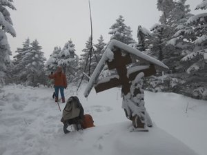 Восхождение на гору Изюбринная, 23 ноября 2024