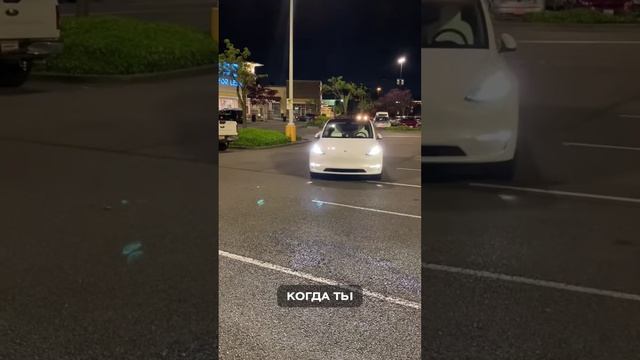 ЧЕМ УДИВЛЯЕТ TESLA
