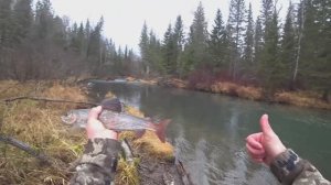 ХАРИУСЫ КАБАНЫ ХАПАЮТ на ВСЁ ПОДРЯД/ Осенняя Рыбалка в ТАЙГЕ/ В этой яме ПОЛНО ХАРИУСА!!!