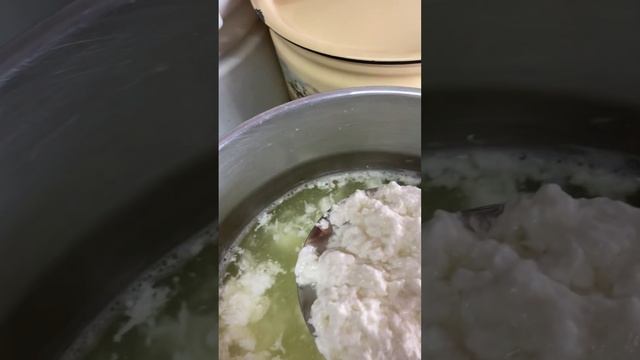 Сыр Адыгейский из молока и сыворотки #сыризмолока #адыгейскийсыр