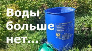 Богатый урожай томатов || Жизнь в деревне с ребенком || Неделя без воды