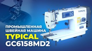 GC6158MD2 Промышленная швейная машина Typical (комплект: голова+стол)