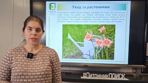 Все, что нужно знать о лилейниках. Выращивание лилейников - все очень просто!