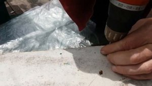 Формирование и расстановка  роевых ловушек.