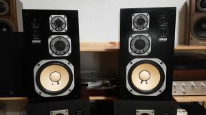 YAMAHA NS-100M.  Тест 6