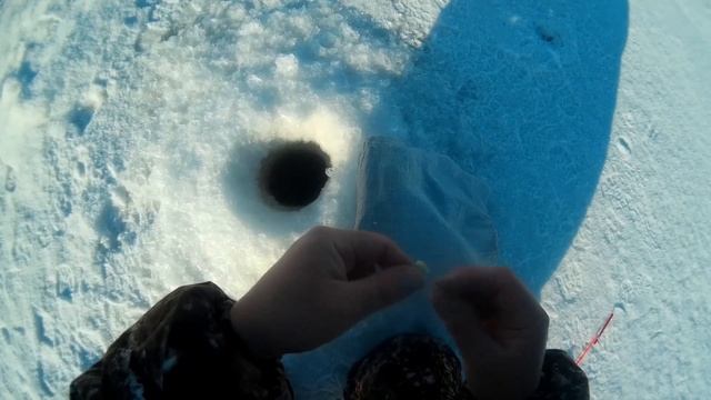 Зимняя рыбалка Кама Шантала рыба игла и налим