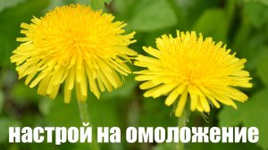 Настрой на омоложение и оздоровление всего организма (по Сытину)