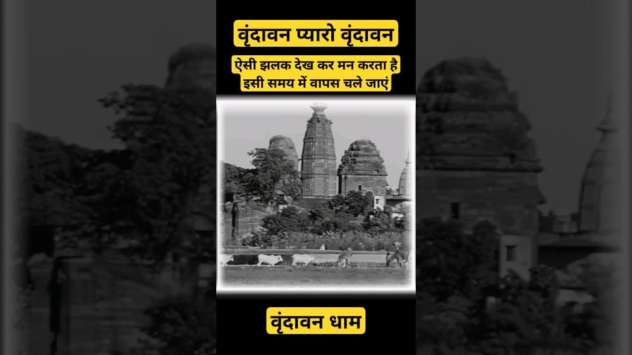 प्यारे वृंदावन की ऐसी झलक देख कर मन उसी समय में जाने को कहेगा 😒 Old vrindavan dham #shortsfeed смотреть онлайн
