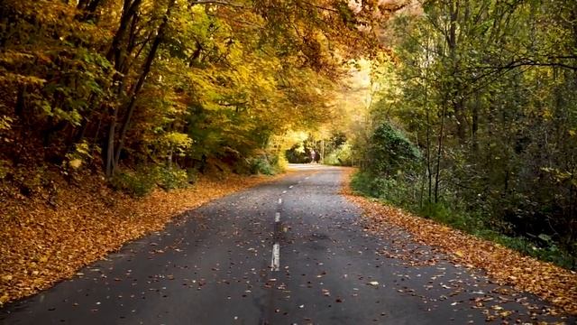 Музыка для души  Нежная лечебная музыка здоровья!