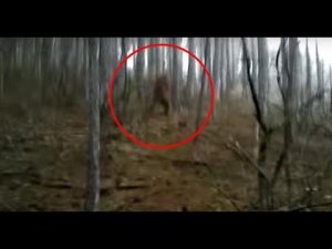 ТОП 3 СТРАШНЫХ КРИКОВ СНЕЖНОГО ЧЕЛОВЕКА СНЯТЫХ НА КАМЕРУ