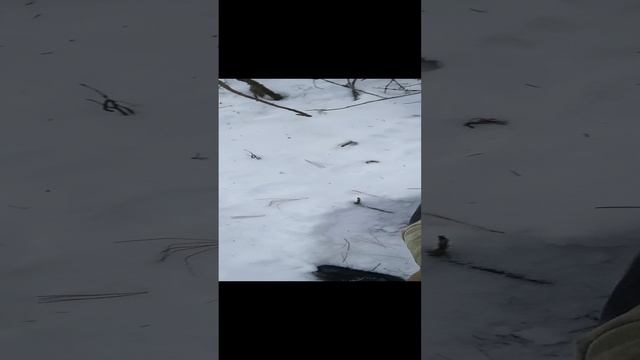 1000015629.mp4