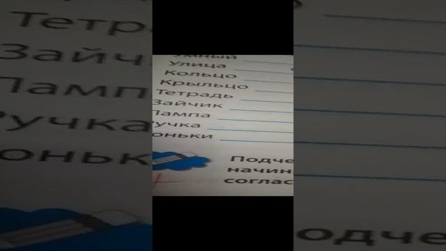 Проверка тетрадей по русскому языку!/игра в учителя