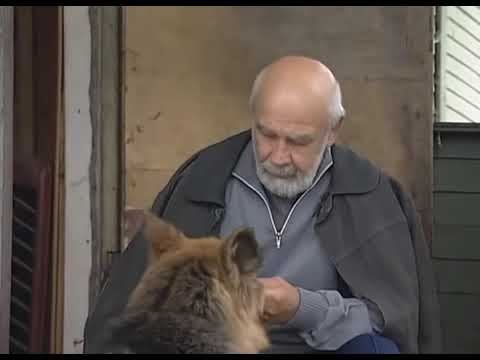 Высказывание Антибиотика о людях