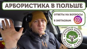 Арбористика в Польше. Как тут все устроено?