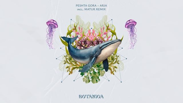 Peshta Gora - Aria (Matur Remix) [Botanica] смотреть онлайн