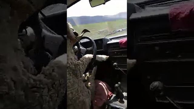 Кудагу(2)