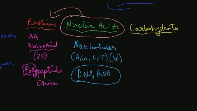 Biomolecules Part 1!