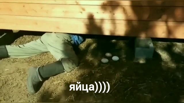 Репродукция