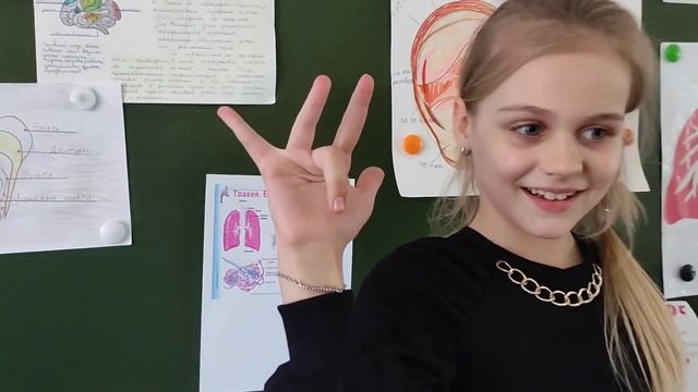 Урок | Организм человека| #начальнаяшкола #учимсяиграя #3класс #образование #окружающиймир #организ