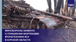 Минобороны заявило о поражении морпехами бронетехники ВСУ в Курской области