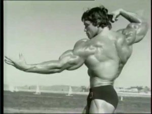 Идолы. Арнольд Шварценеггер.