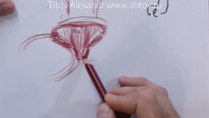 Как нарисовать нос у кота. Урок 2. Построение формы носа