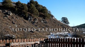 Логово гармониста