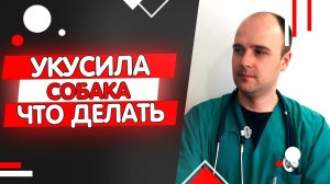 Что делать если укусила собака? Уколы от бешенства человеку после укуса собаки