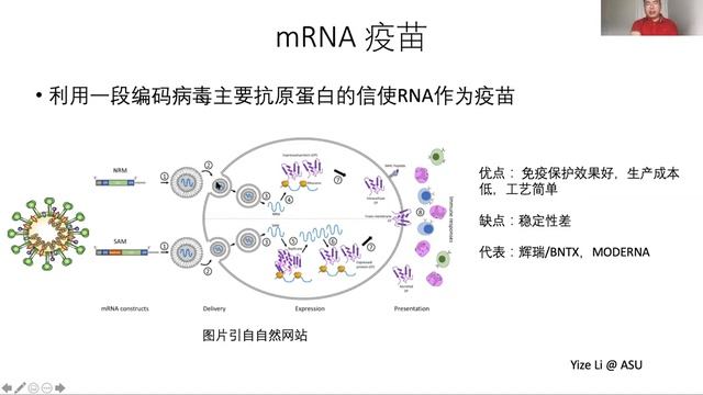 简单介绍新冠疫苗（COVID19 Vaccine）