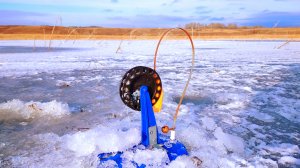 Рыбалка на жерлицы в конце ноября 2024. Первый лёд.