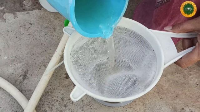 Papaya fermented juice preparation.