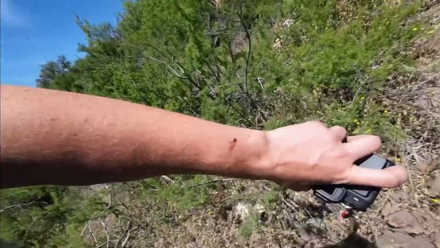 Бродячая кобра. Нашел загадочное место смотреть онлайн