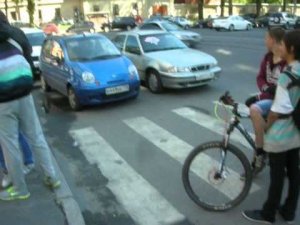 Стоп Хам в Питере