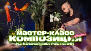 Как создать красивую композицию из комнатных растений? Мастер - класс от Maxgreenhome из Казани.