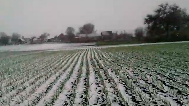 Апрель ты пьян,иди домой! смотреть онлайн