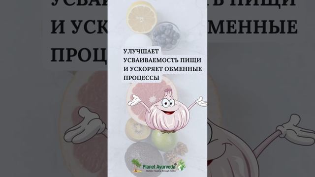 Польза чеснока #аюрвед#yoga #зож #правильноепитание #веды #индия #женскоездоровье #женскиепрактики